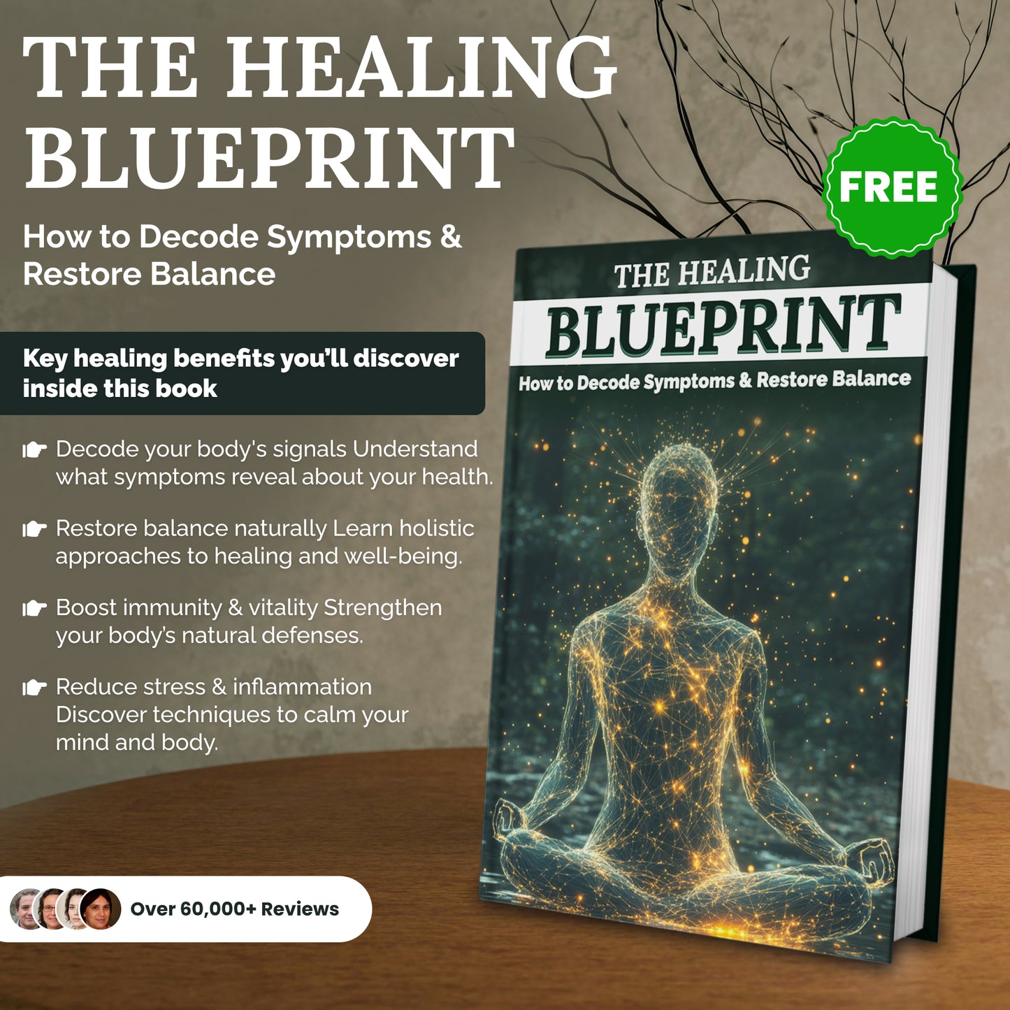 The Body Code: Unlocking the Hidden Messages of Your Health (50% OFF + 3 FREE)