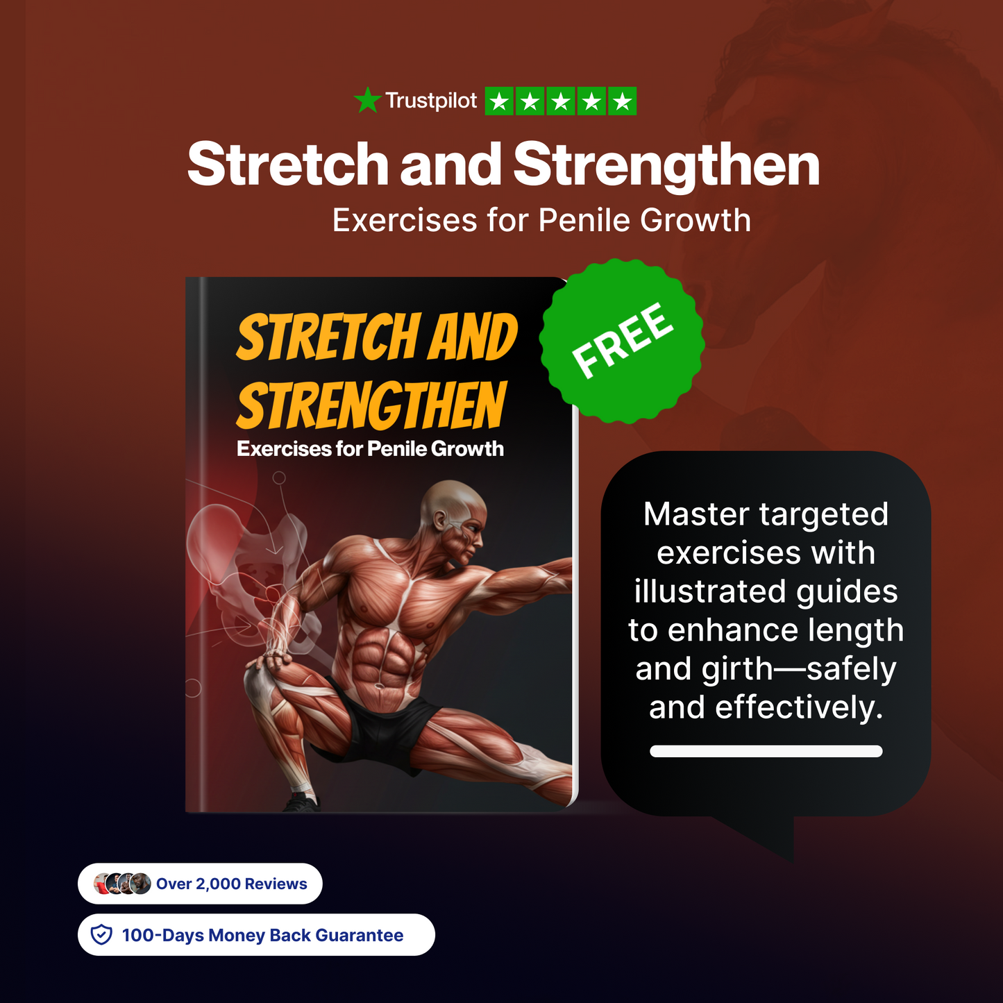 The Stallion Size Bundle: Natural Enhancement Guide (50% OFF + 3 FREE)