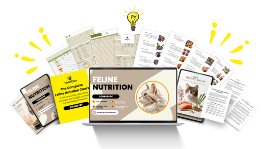 NutriCare – The Complete Guide to a Healthier, Happier Cat-(50%OFF)